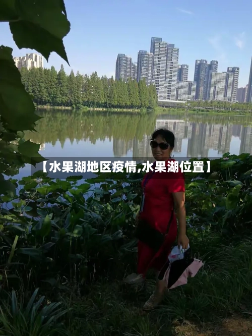 【水果湖地区疫情,水果湖位置】