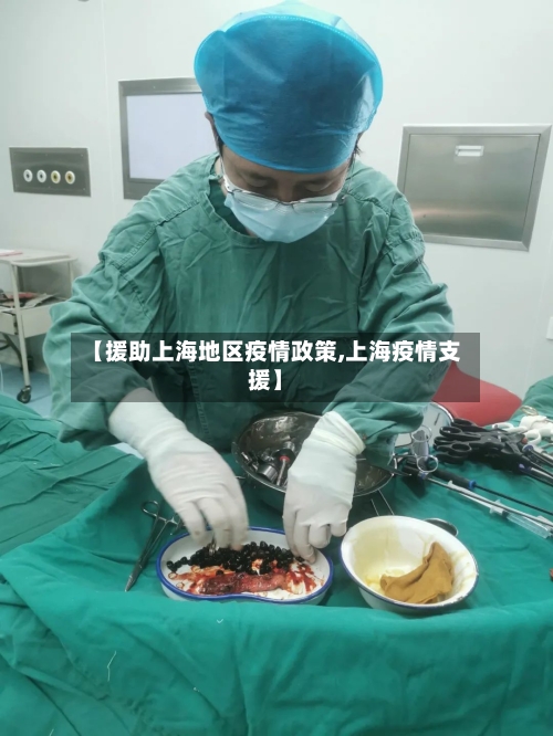 【援助上海地区疫情政策,上海疫情支援】-第3张图片