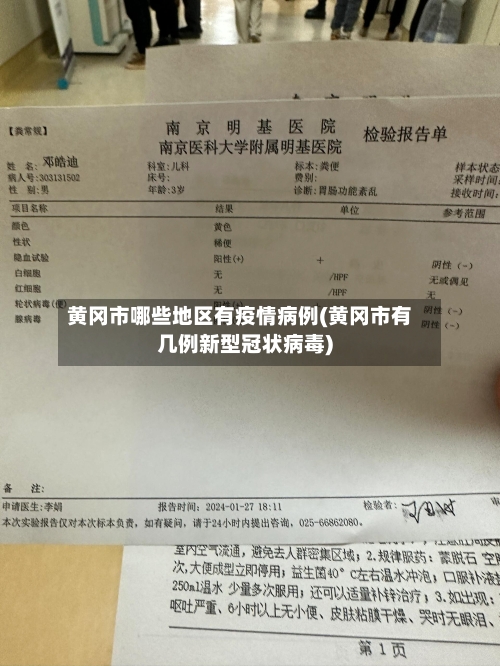 黄冈市哪些地区有疫情病例(黄冈市有几例新型冠状病毒)-第2张图片