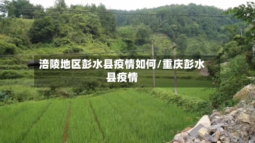 涪陵地区彭水县疫情如何/重庆彭水县疫情-第2张图片