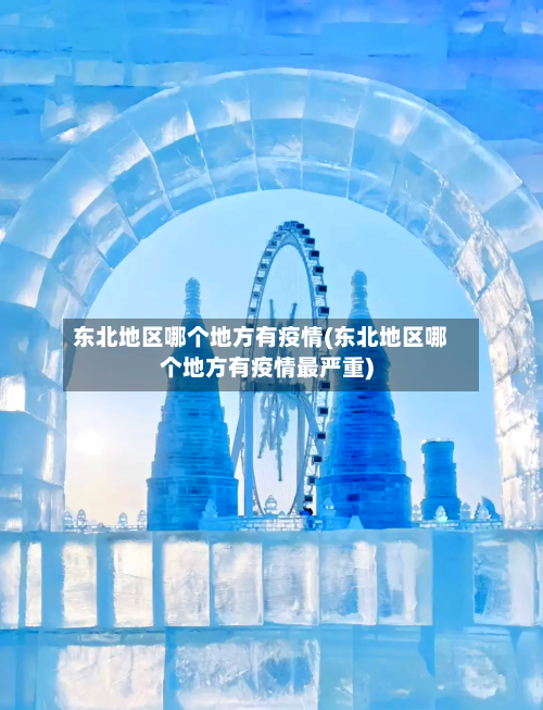 东北地区哪个地方有疫情(东北地区哪个地方有疫情最严重)