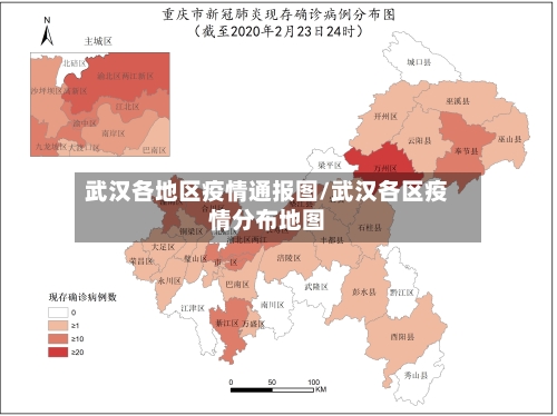武汉各地区疫情通报图/武汉各区疫情分布地图