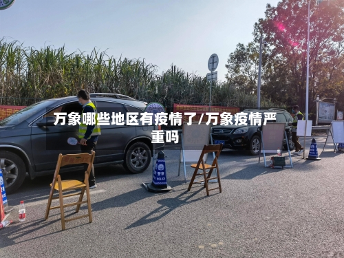 万象哪些地区有疫情了/万象疫情严重吗-第2张图片