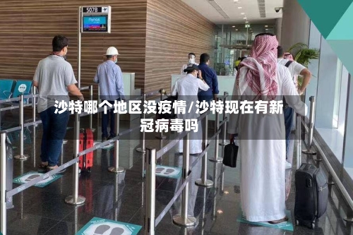 沙特哪个地区没疫情/沙特现在有新冠病毒吗