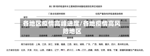 各地区疫情高峰进度/各地疫情高风险地区