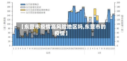 【东营市疫情高风险地区吗,东营市的疫情】