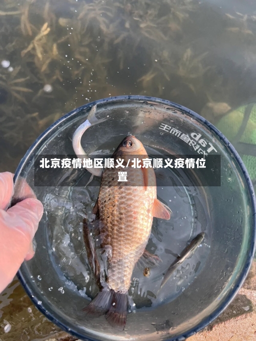 北京疫情地区顺义/北京顺义疫情位置-第2张图片