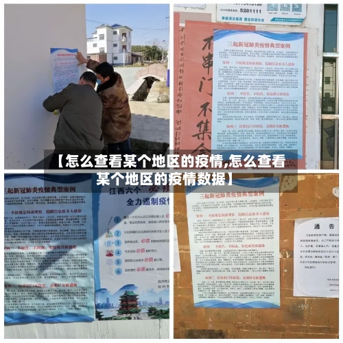 【怎么查看某个地区的疫情,怎么查看某个地区的疫情数据】-第3张图片