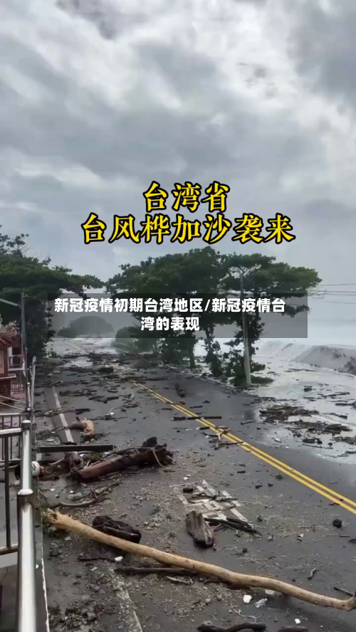 新冠疫情初期台湾地区/新冠疫情台湾的表现-第2张图片