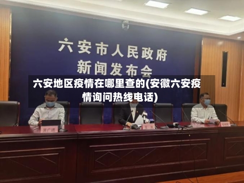 六安地区疫情在哪里查的(安徽六安疫情询问热线电话)