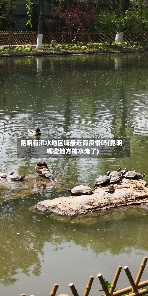 昆明有滨水地区嘛最近有疫情吗(昆明哪些地方被水淹了)-第2张图片