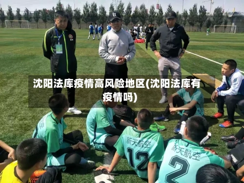 沈阳法库疫情高风险地区(沈阳法库有疫情吗)-第2张图片