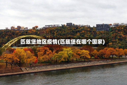 匹兹堡地区疫情(匹兹堡在哪个国家)