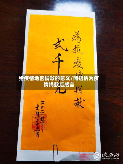 给疫情地区捐款的意义/简短的为疫情捐款后感言-第2张图片