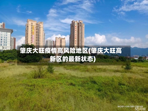 肇庆大旺疫情高风险地区(肇庆大旺高新区的最新状态)