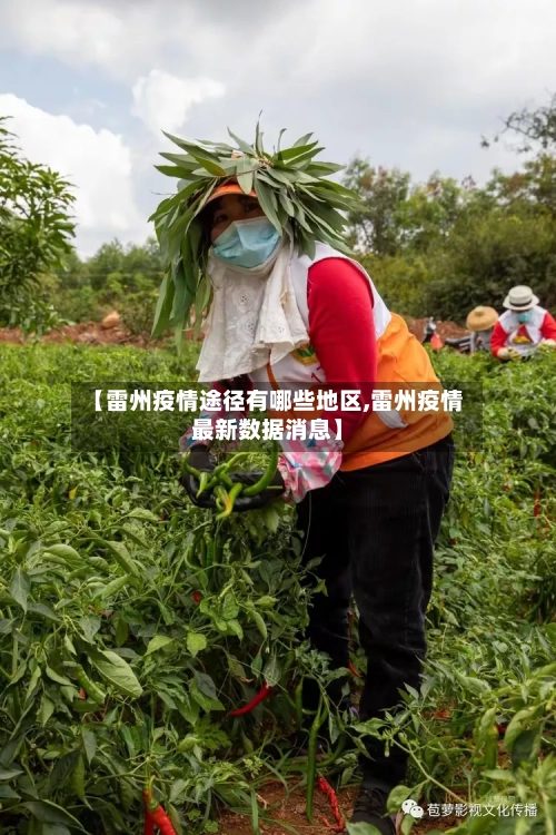 【雷州疫情途径有哪些地区,雷州疫情最新数据消息】