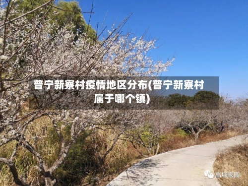 普宁新寮村疫情地区分布(普宁新寮村属于哪个镇)-第3张图片