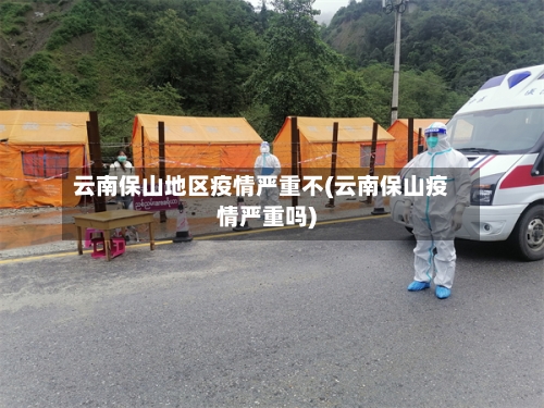 云南保山地区疫情严重不(云南保山疫情严重吗)