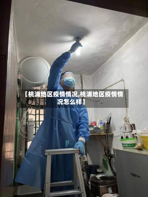 【桃浦地区疫情情况,桃浦地区疫情情况怎么样】