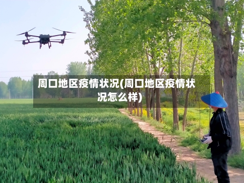 周口地区疫情状况(周口地区疫情状况怎么样)-第2张图片
