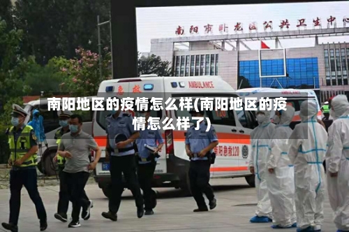 南阳地区的疫情怎么样(南阳地区的疫情怎么样了)-第2张图片