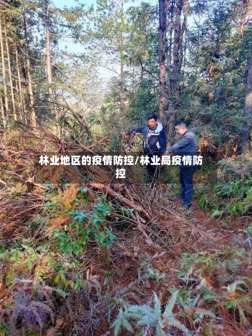 林业地区的疫情防控/林业局疫情防控