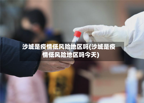 沙城是疫情低风险地区吗(沙城是疫情低风险地区吗今天)