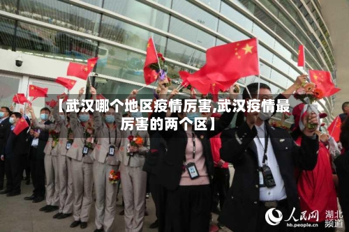 【武汉哪个地区疫情厉害,武汉疫情最厉害的两个区】-第2张图片