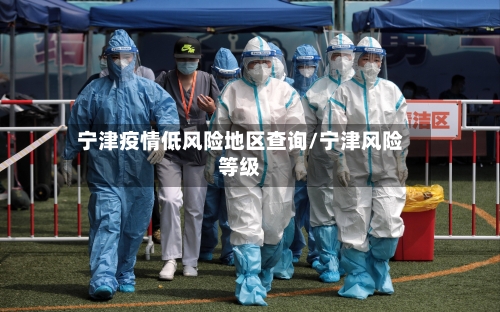 宁津疫情低风险地区查询/宁津风险等级-第2张图片
