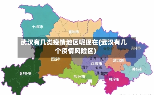 武汉有几类疫情地区呢现在(武汉有几个疫情风险区)