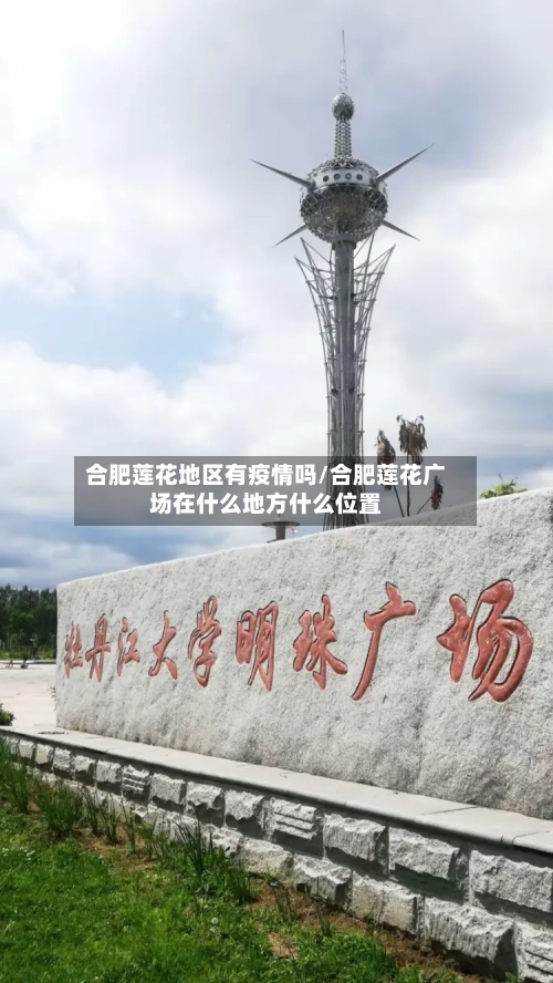 合肥莲花地区有疫情吗/合肥莲花广场在什么地方什么位置