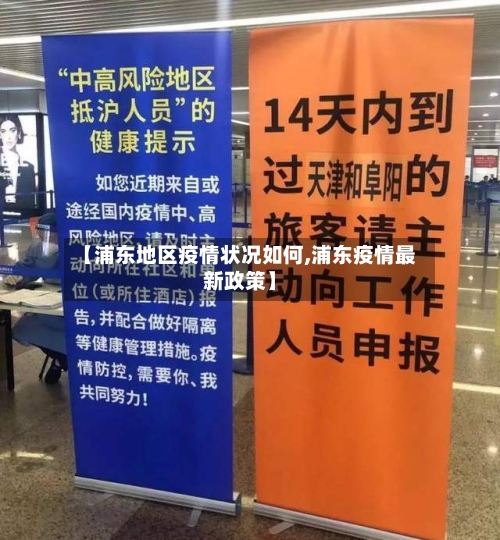 【浦东地区疫情状况如何,浦东疫情最新政策】-第3张图片