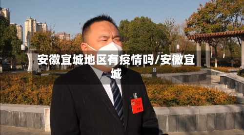 安徽宜城地区有疫情吗/安微宜城