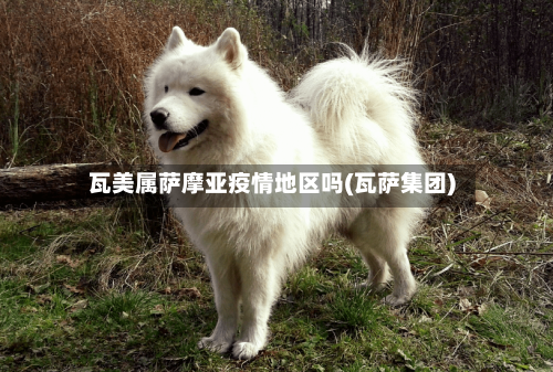 瓦美属萨摩亚疫情地区吗(瓦萨集团)