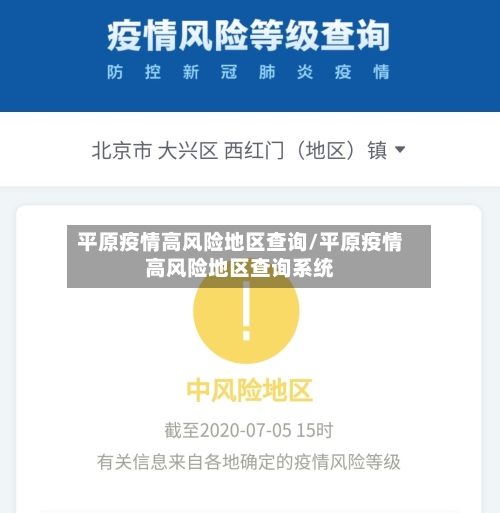 平原疫情高风险地区查询/平原疫情高风险地区查询系统-第2张图片