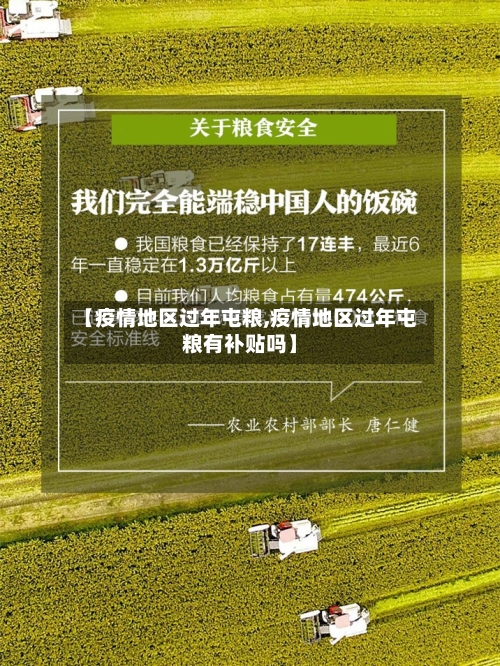 【疫情地区过年屯粮,疫情地区过年屯粮有补贴吗】
