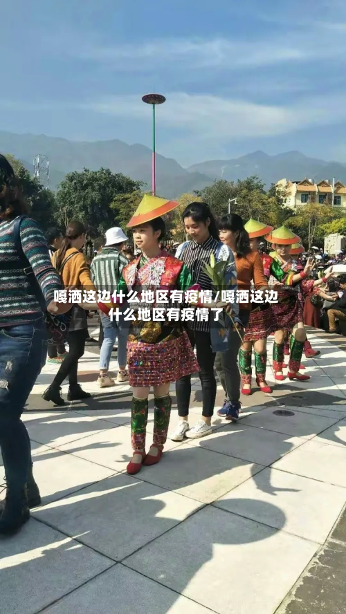 嘎洒这边什么地区有疫情/嘎洒这边什么地区有疫情了-第3张图片