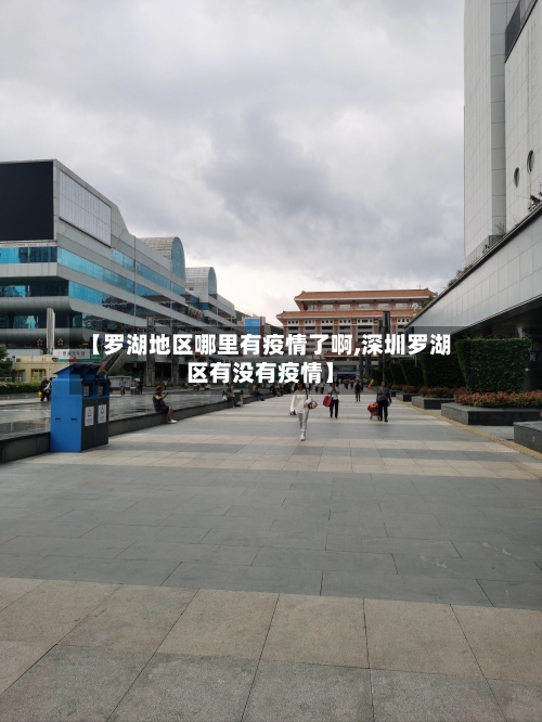 【罗湖地区哪里有疫情了啊,深圳罗湖区有没有疫情】-第2张图片