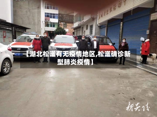 【湖北松滋有无疫情地区,松滋确诊新型肺炎疫情】