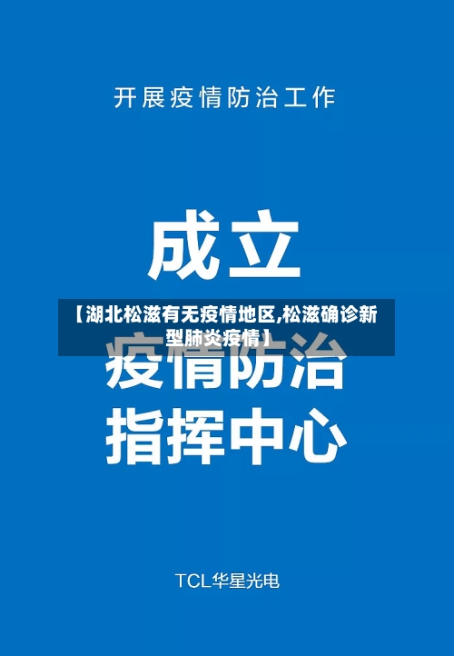 【湖北松滋有无疫情地区,松滋确诊新型肺炎疫情】-第2张图片