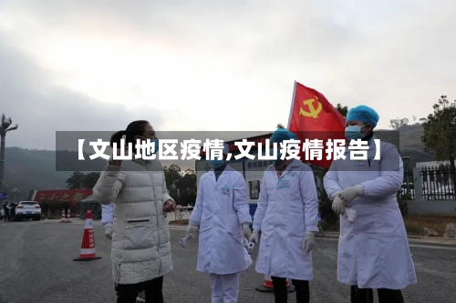 【文山地区疫情,文山疫情报告】-第3张图片