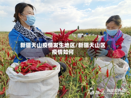 新疆天山疫情发生地区/新疆天山区疫情如何