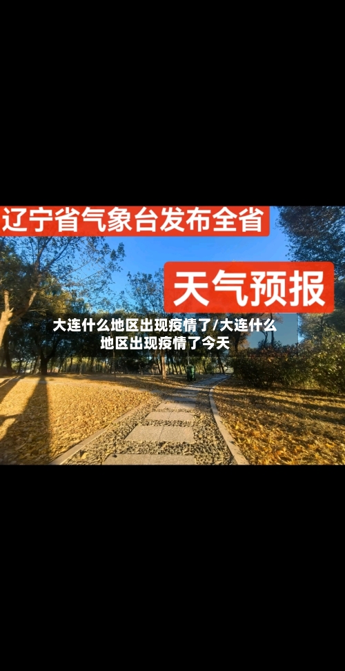 大连什么地区出现疫情了/大连什么地区出现疫情了今天-第3张图片