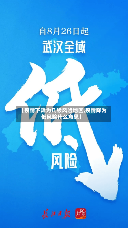 【疫情下降为几级风险地区,疫情降为低风险什么意思】-第2张图片