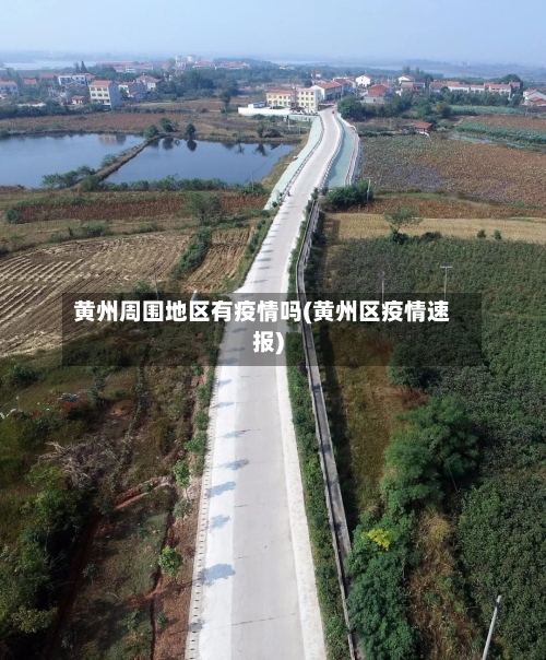 黄州周围地区有疫情吗(黄州区疫情速报)-第2张图片