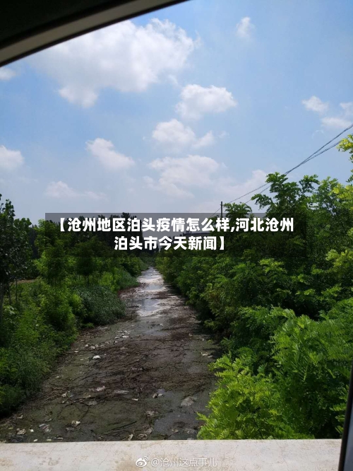 【沧州地区泊头疫情怎么样,河北沧州泊头市今天新闻】