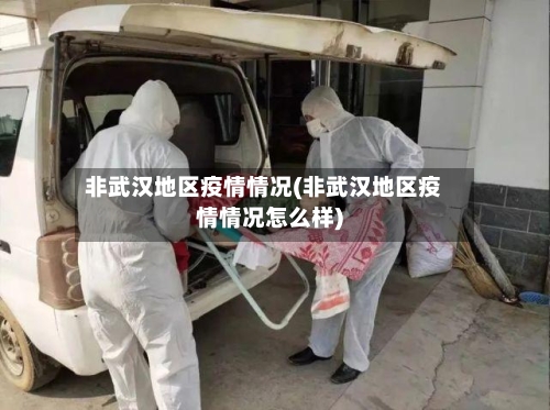 非武汉地区疫情情况(非武汉地区疫情情况怎么样)-第2张图片